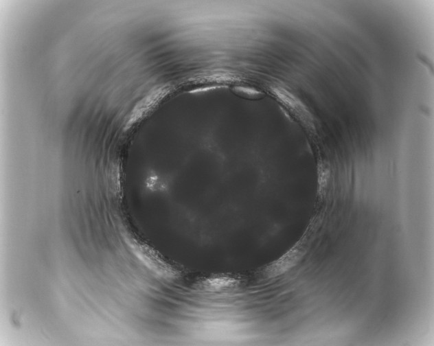 X0000100220158200806271735