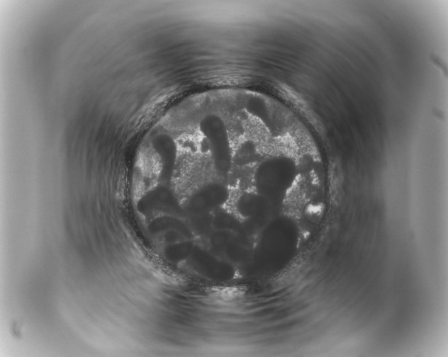 X0000100220161200806271735