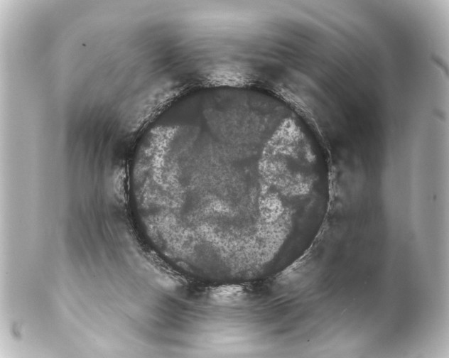 X0000100220162200806271735