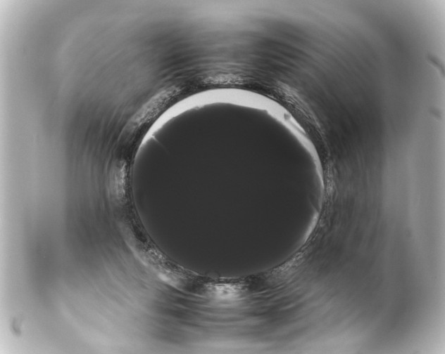 X0000100220163200806271735