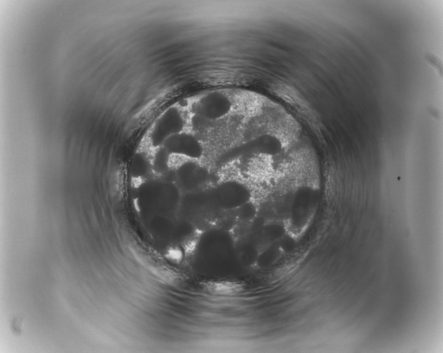 X0000100220165200806271735