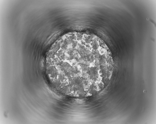 X0000100220166200806271735