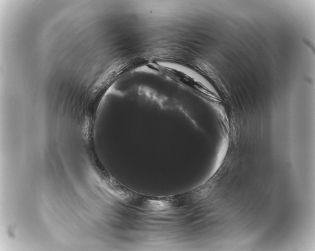 X0000100220167200806271735