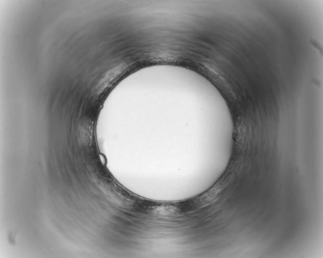 X0000100220168200806271735