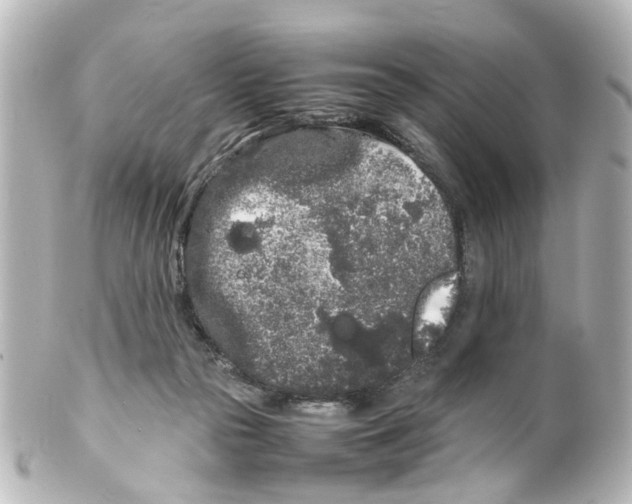 X0000100220169200806271735