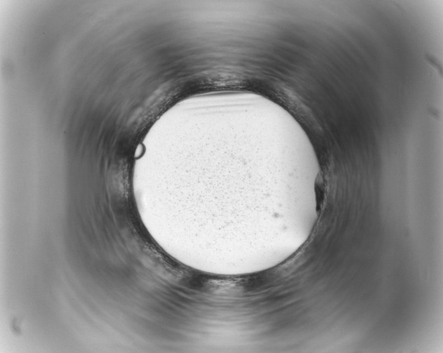 X0000100220170200806271735