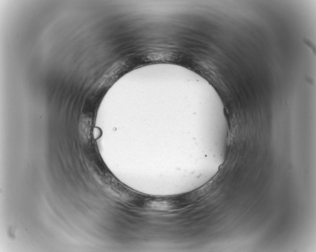 X0000100220171200806271735