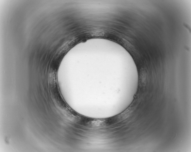 X0000100220172200806271735