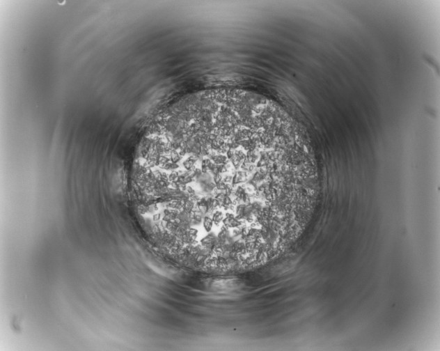 X0000100220173200806271735