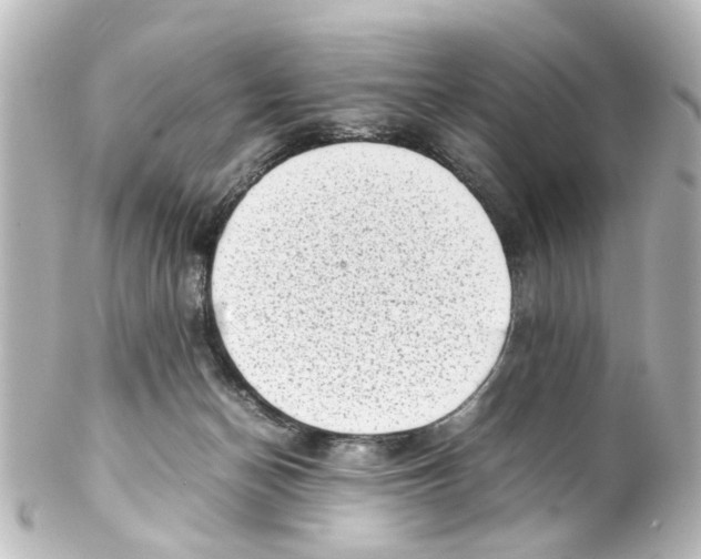 X0000100220174200806271735