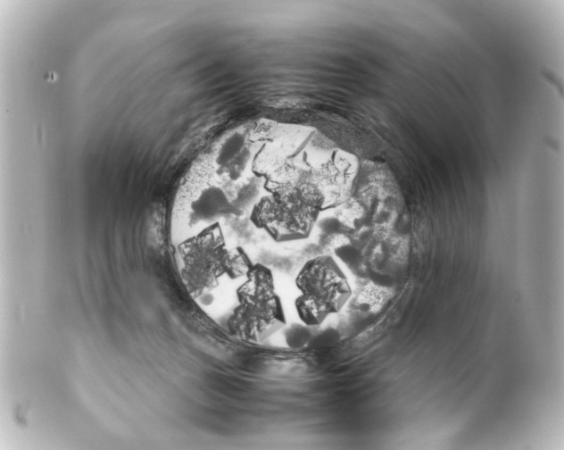 X0000100220175200806271735