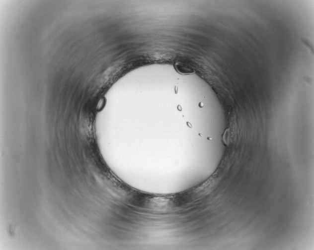 X0000100220176200806271735