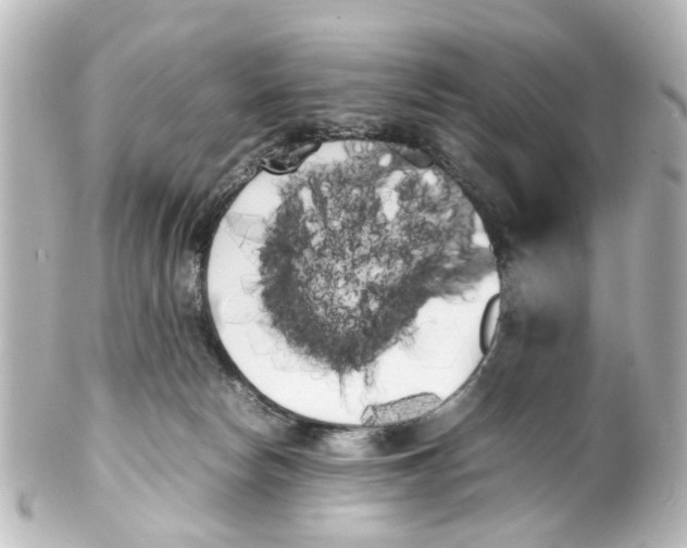 X0000100220178200806271735