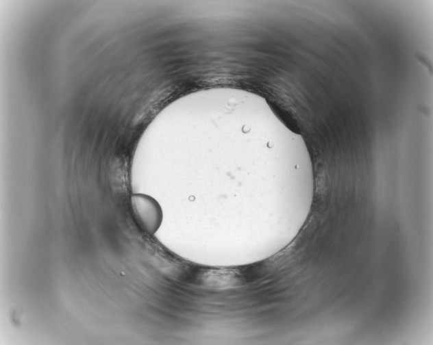 X0000100220179200806271735