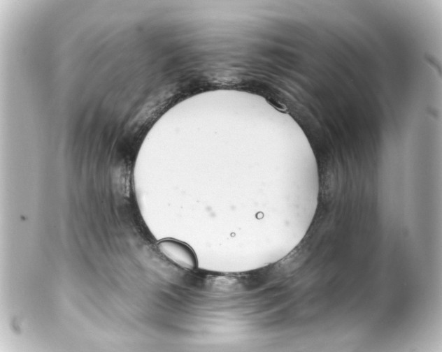 X0000100220180200806271735