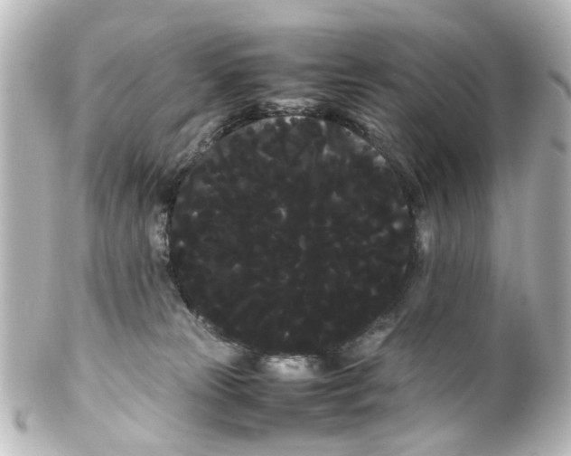 X0000100220181200806271735