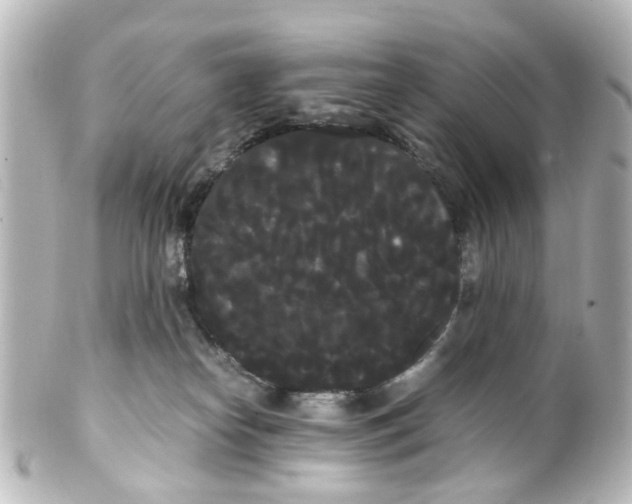 X0000100220182200806271735