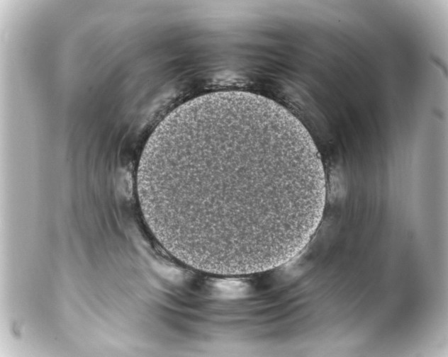 X0000100220183200806271735