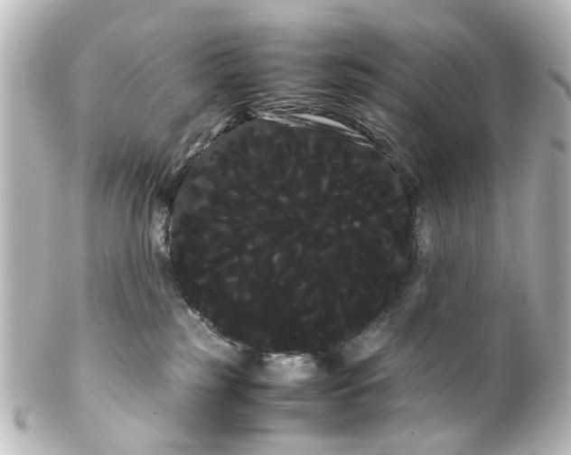 X0000100220185200806271735