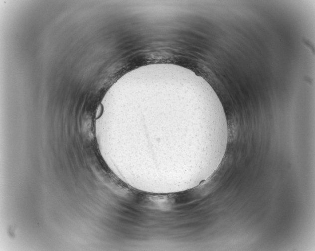 X0000100220187200806271735