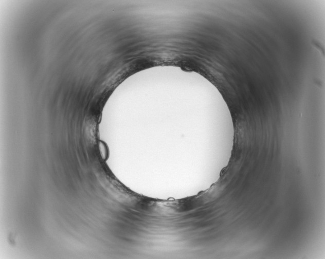 X0000100220188200806271735