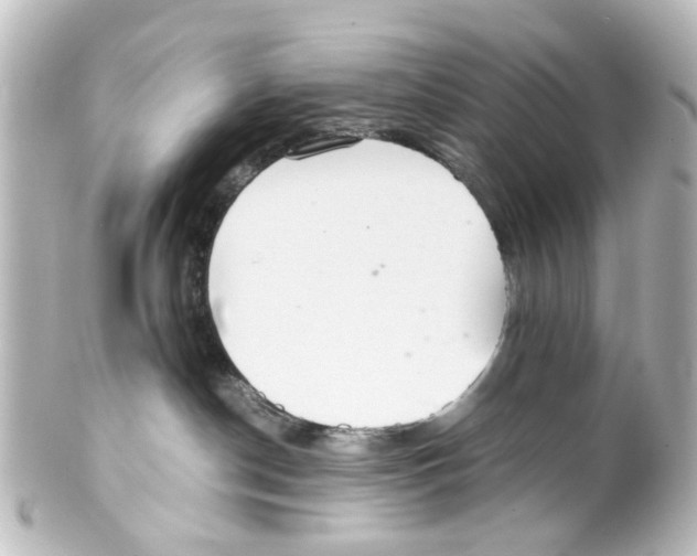 X0000100220190200806271735