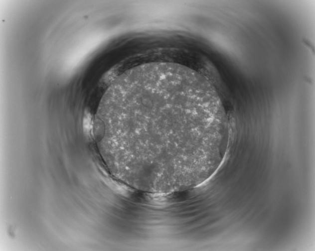 X0000100220191200806271735