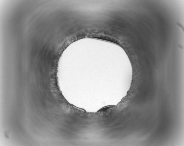 X0000100220192200806271735