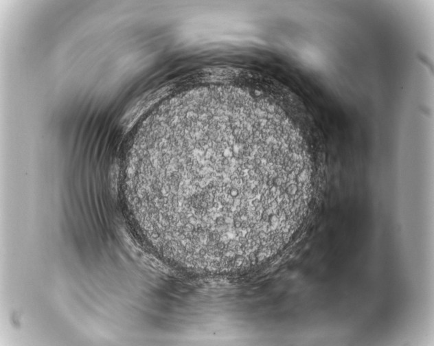 X0000100220194200806271735