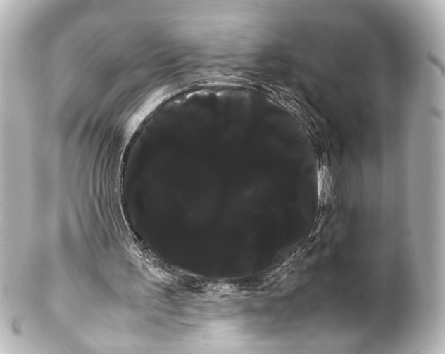 X0000100220195200806271734