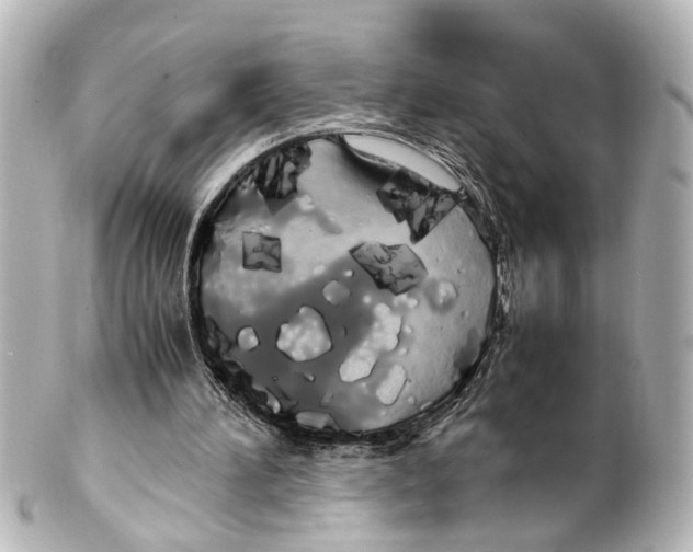 X0000100220196200806271734