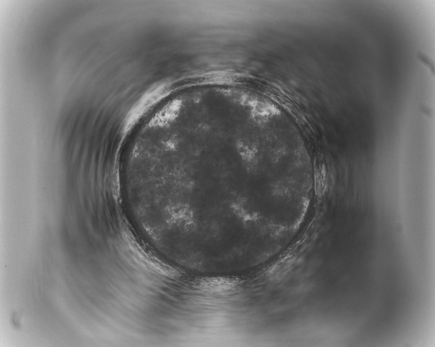 X0000100220198200806271734