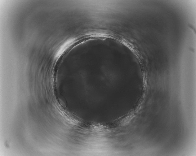 X0000100220199200806271734