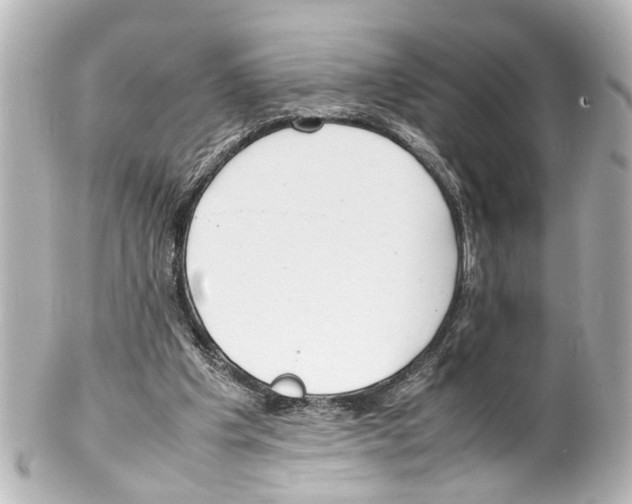 X0000100220201200806271734