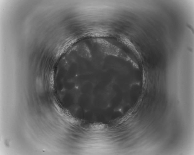 X0000100220202200806271734