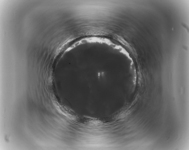 X0000100220203200806271734