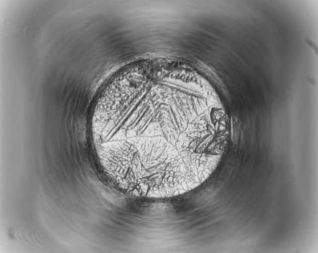 X0000100220204200806271734