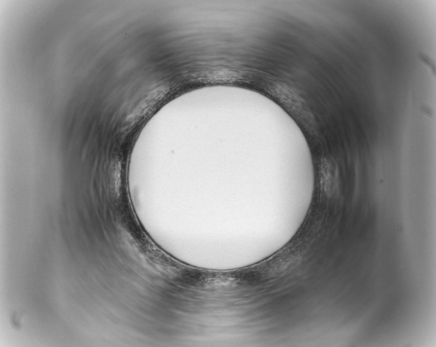 X0000100220206200806271734