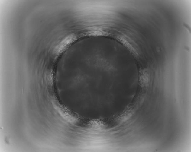 X0000100220207200806271734