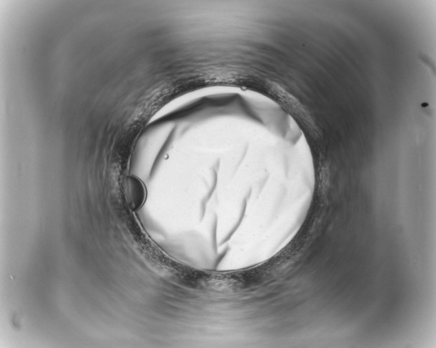 X0000100220209200806271734