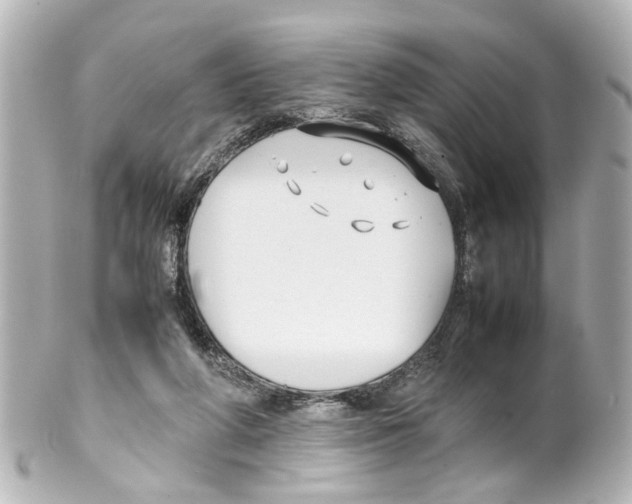 X0000100220210200806271734