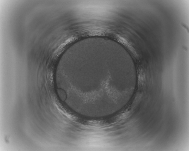 X0000100220211200806271734