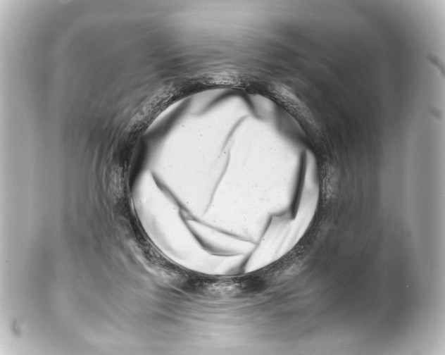 X0000100220213200806271734