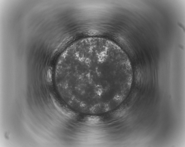 X0000100220214200806271734