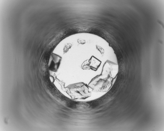 X0000100220215200806271734