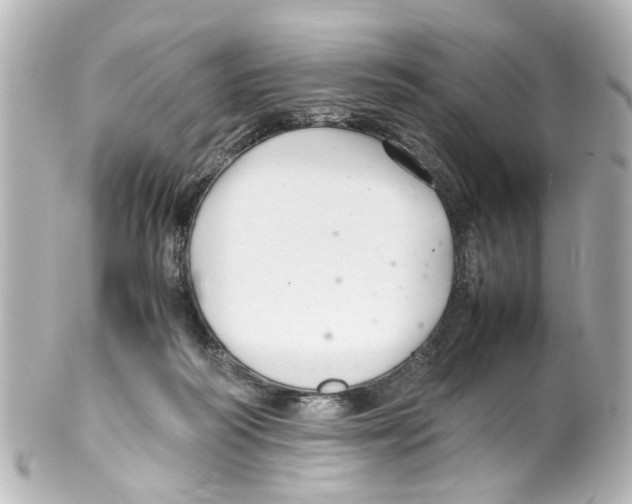 X0000100220218200806271734