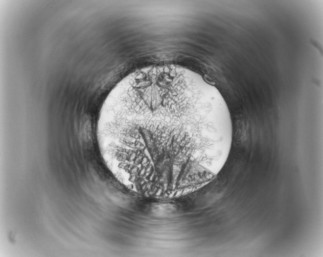 X0000100220220200806271734