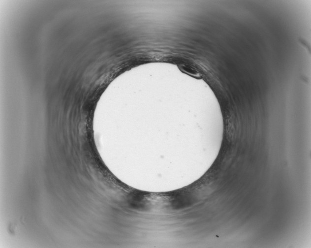 X0000100220221200806271734