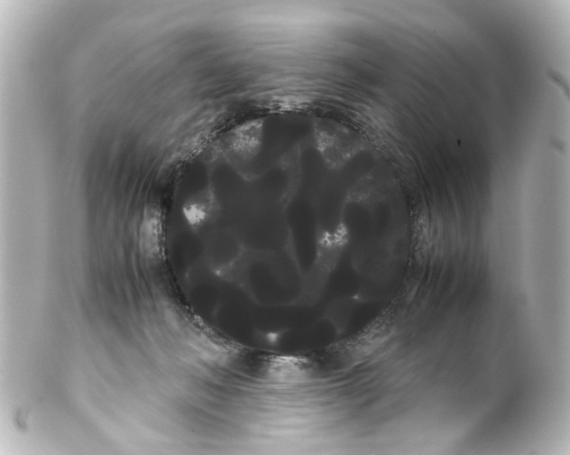 X0000100220222200806271734