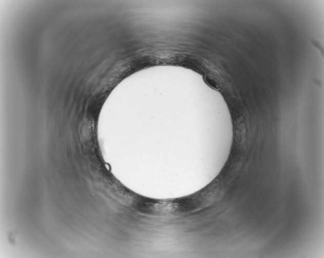 X0000100220225200806271734